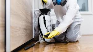 Best Fumigation Services  in North Fair Oaks, CA